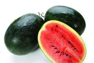 黑瓜吃料分类网,揭秘食材分类与营养搭配之道