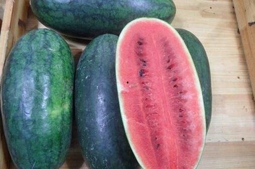 长清大学吃瓜黑料